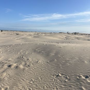 Sea Shell Beach - Beaches Near Me - South Padre Island, Texas Sea Shell Beach - Beaches Near Me - South Padre Island, Texas