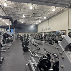 Just Move Athletic Club - Winter Haven - Free weight section