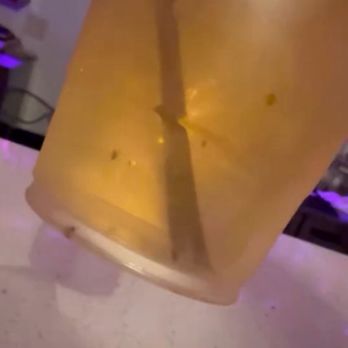 Mariscos La Palma  - Yes, those are BUGS in the drinks they served - Bars Near Me - El Monte, California