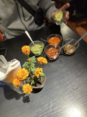 La Casa de Los Tacos Coyoacán by null