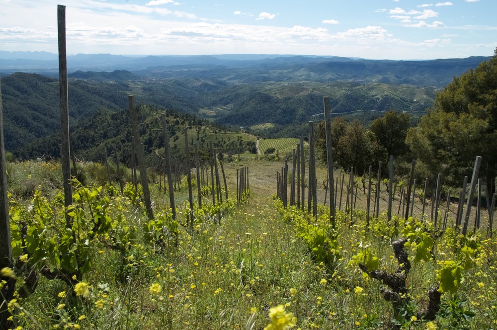 THE PRIORAT GUIDE Plaça Catalunya, 1, Porrera, Tarragona, Spain