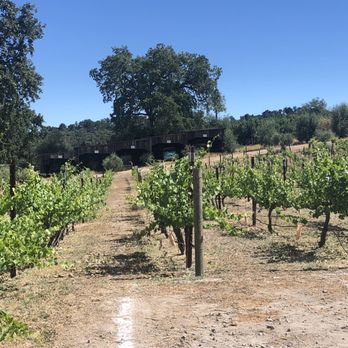 Dubost - View of classic cars and vineyard - Wineries Near Me - Paso Robles, California Dubost - View of classic cars and vineyard - Wineries Near Me - Paso Robles, California