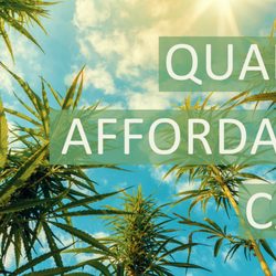 GreenMed Group - Quality, Affordable Care. Visit us to see for yourself.