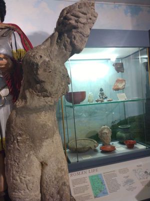 Dover Museum and Bronze Age Boat Gallery by null