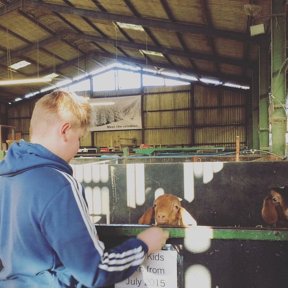 The White Post Farm Centre - Zoos Near Me - Newark, NTT
