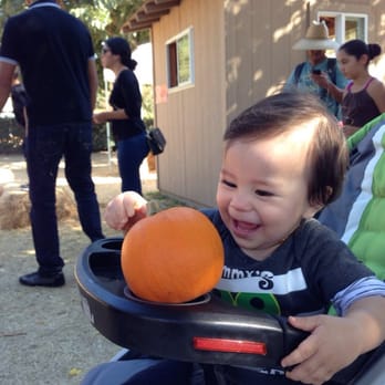 Bates Nut Farm - The lil ones just love the pumpkins and pumpkin patch! - Specialty Food Near Me - Valley Center, California Bates Nut Farm - The lil ones just love the pumpkins and pumpkin patch! - Specialty Food Near Me - Valley Center, California