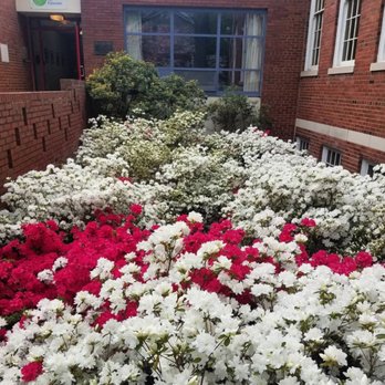 Palisades Community Church - Churches Near Me - Washington, DC, District of Columbia