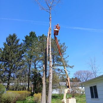 Farley Forest and Soil - Tree Services Near Me Farley Forest and Soil - Tree Services Near Me