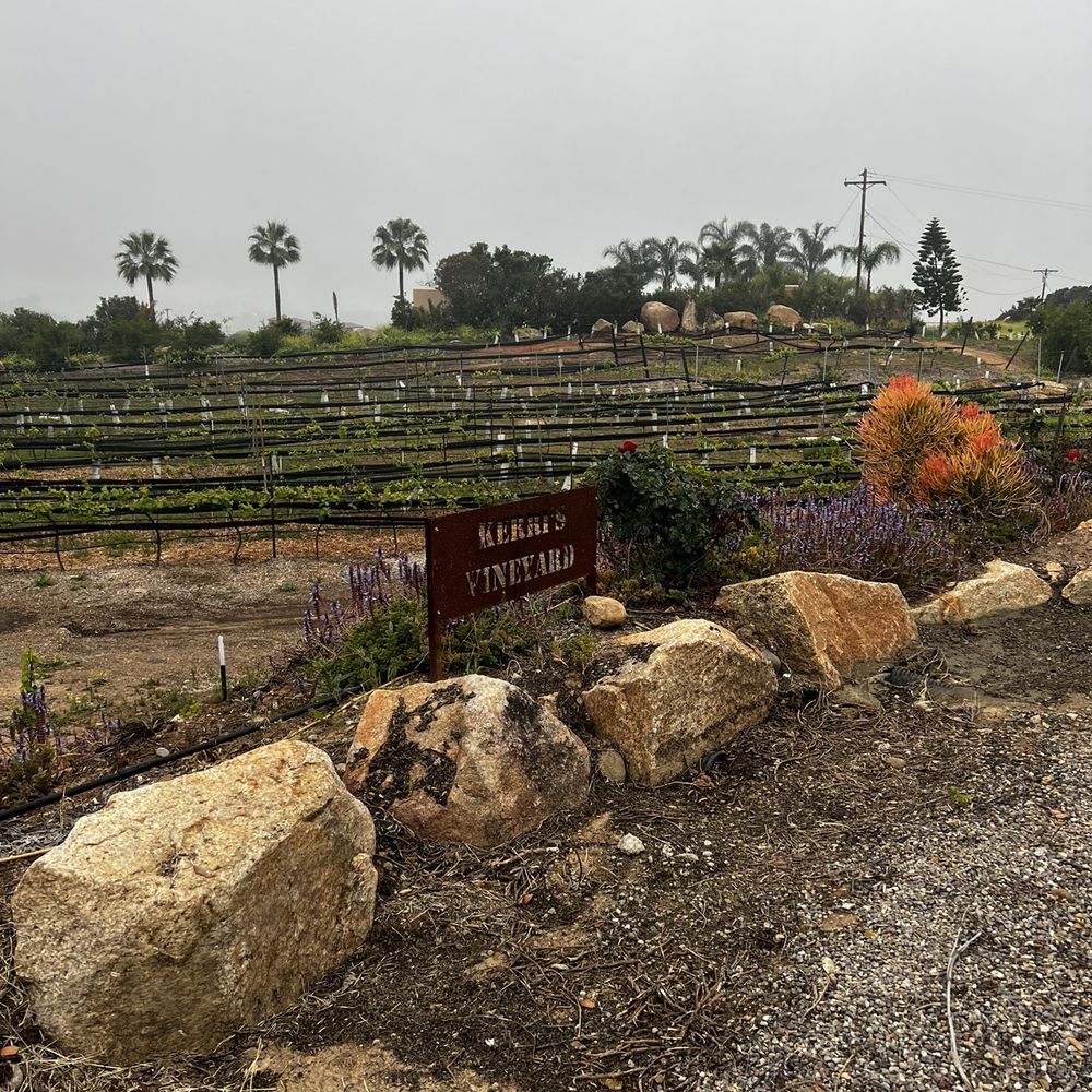Rustic Ridge Vineyards - The vineyard - Wine Tasting Room Near Me - Jamul, California