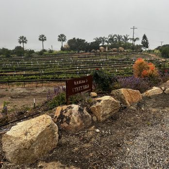 Rustic Ridge Vineyards - The vineyard - Wine Tasting Room Near Me - Jamul, California Rustic Ridge Vineyards - The vineyard - Wine Tasting Room Near Me - Jamul, California