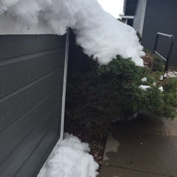 The Lennox - This is what happens every time it snows...Bush draped over sidewalk and blocking the only walk ways.They refuse to do anything. - Apartments Near Me - Highland Ranch, Colorado The Lennox - This is what happens every time it snows...Bush draped over sidewalk and blocking the only walk ways.They refuse to do anything. - Apartments Near Me - Highland Ranch, Colorado