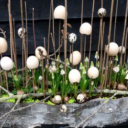 P'ti fleur Lüder - Osterdekoration