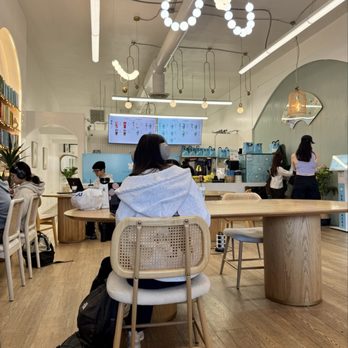 Molly Jasmine Tea Shoppe - Inside - Juice Bars & Smoothies Near Me - Davis, California