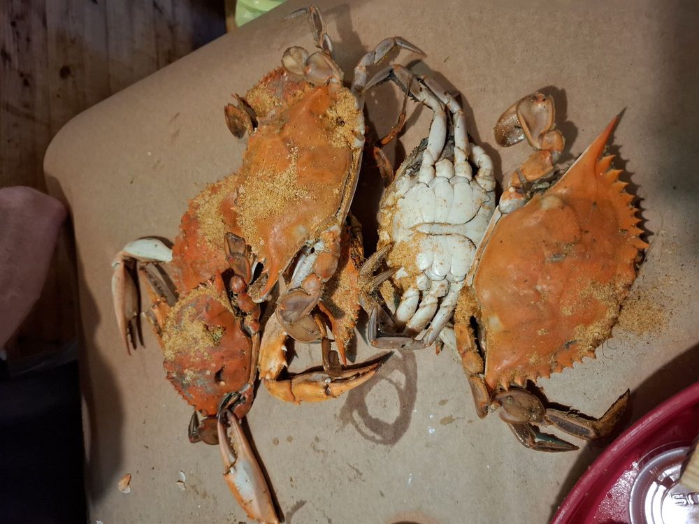 Old Mill Crab House Image