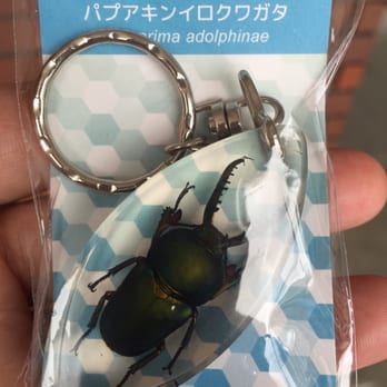 むし社 Print Media 大和町1 4 2 中野区 東京都 Japan Phone Number