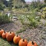 Photo of Fireside Orchard & Gardens