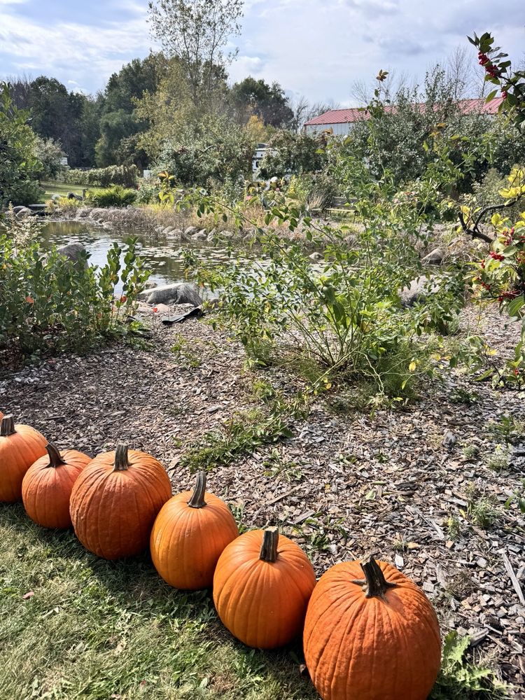 Food from Fireside Orchard & Gardens