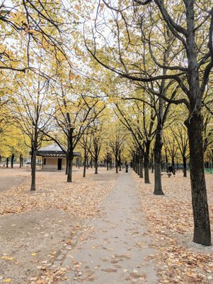 Jardin du Luxembourg by null