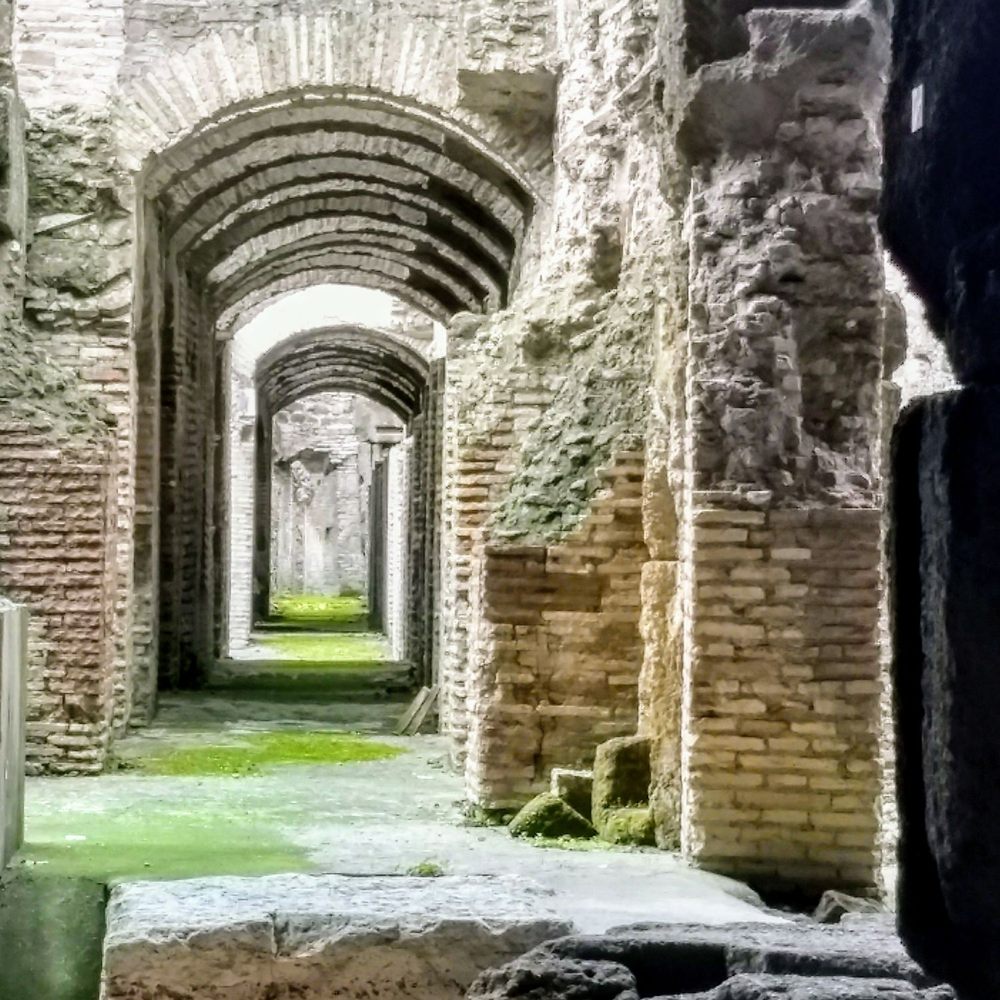 Colosseo - Local Flavor Near Me - Rome, RM