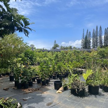 NatureWorks Nursery - Nurseries & Gardening Near Me - Haiku, Hawaii