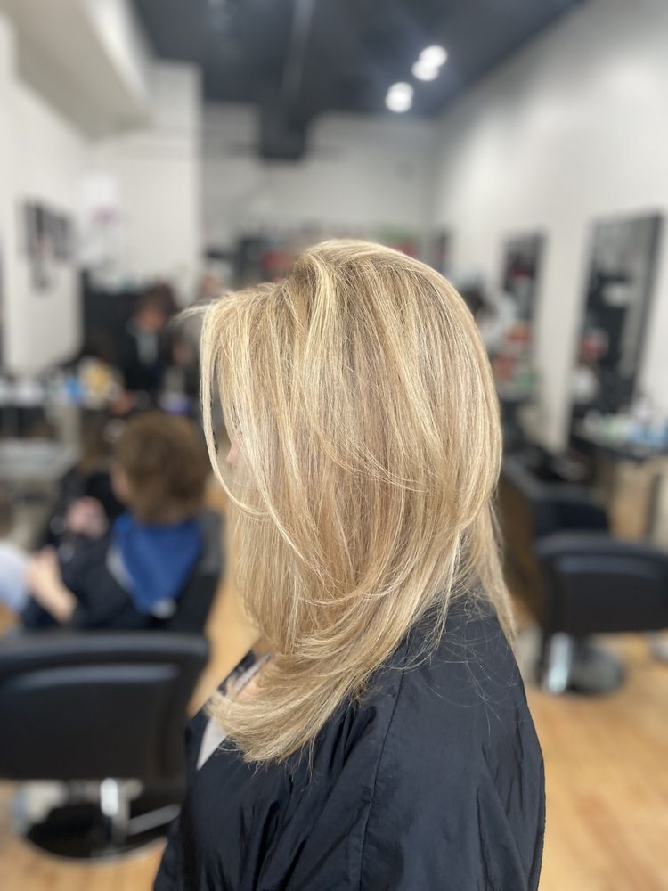 Don Orlando Hair Color Logo