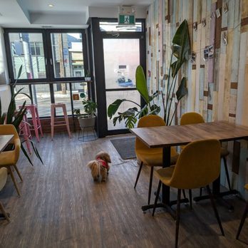 Lamoon Thai Kitchen & Coffee - Cafes Near Me - Toronto, Ontario