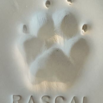 A Life Well Loved - Veterinarians Near Me