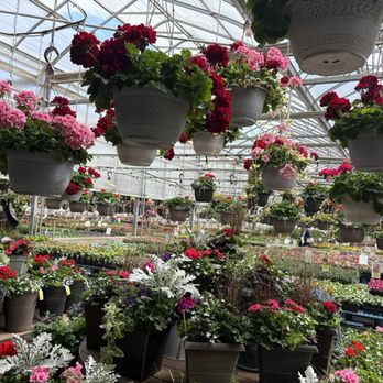 Lurgan Greenhouse - Nurseries & Gardening Near Me - Orrstown, Pennsylvania