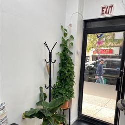 Hira Thread & Lash - Real plants taken care of by the employees ! Gorgeous !!