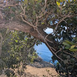 La Jolla Underwater Park