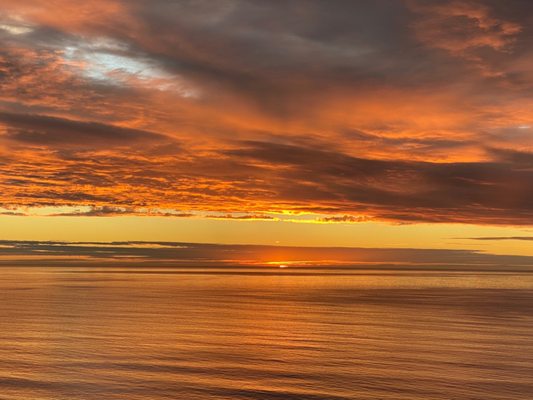 Torrey Pines Gliderport by null