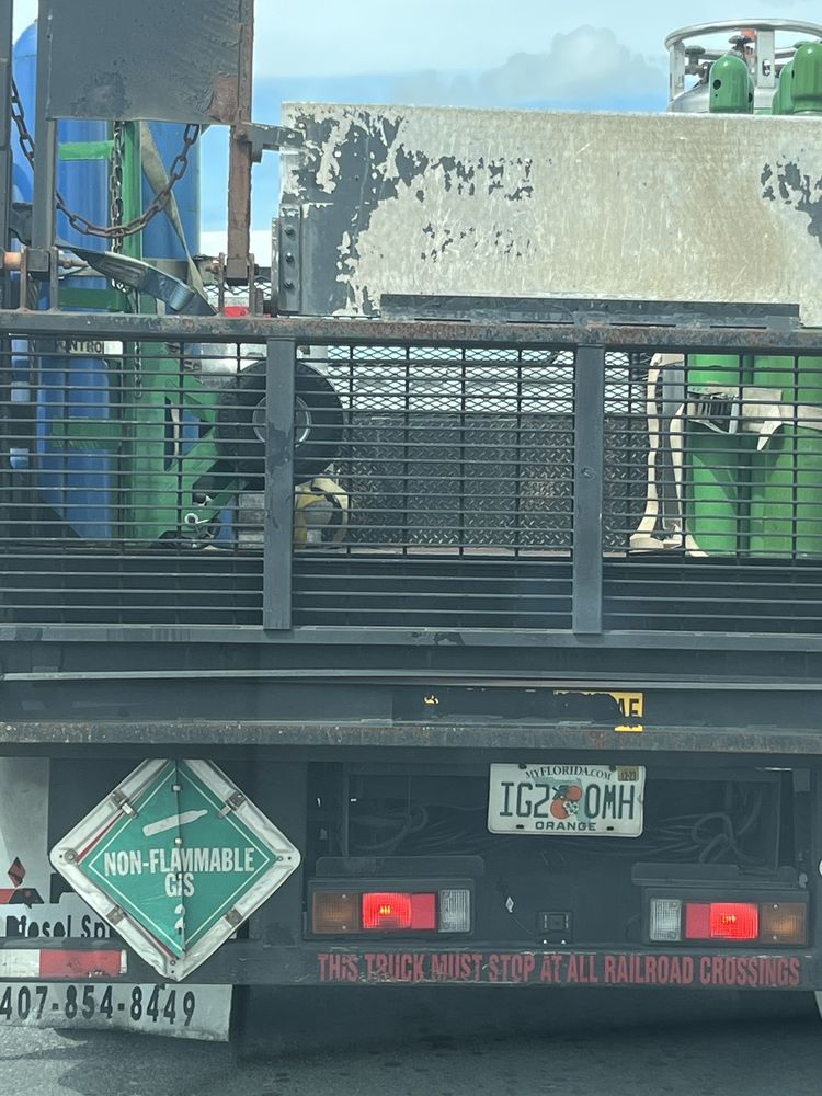 DIESEL SPECIALIST Updated June 2024 487 Thorpe Rd, Orlando, Florida