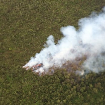 Hawaii Volcanoes Helicopter Tours - Lava flow near Pahoa, HI - Aerial Tours Near Me - Hilo, Hawaii Hawaii Volcanoes Helicopter Tours - Lava flow near Pahoa, HI - Aerial Tours Near Me - Hilo, Hawaii