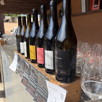 Oller del Mas - Tasting wines - Wineries Near Me - Manresa, B Oller del Mas - Tasting wines - Wineries Near Me - Manresa, B