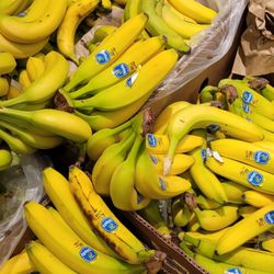 ALDI - Bananas