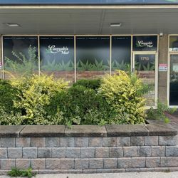 Cannabis Hut