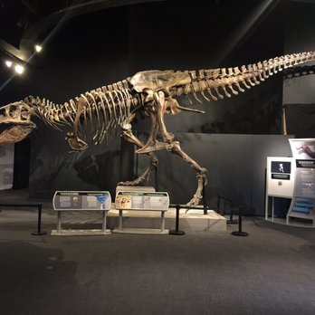 Bishop Museum - Museums Near Me - Honolulu, Hawaii