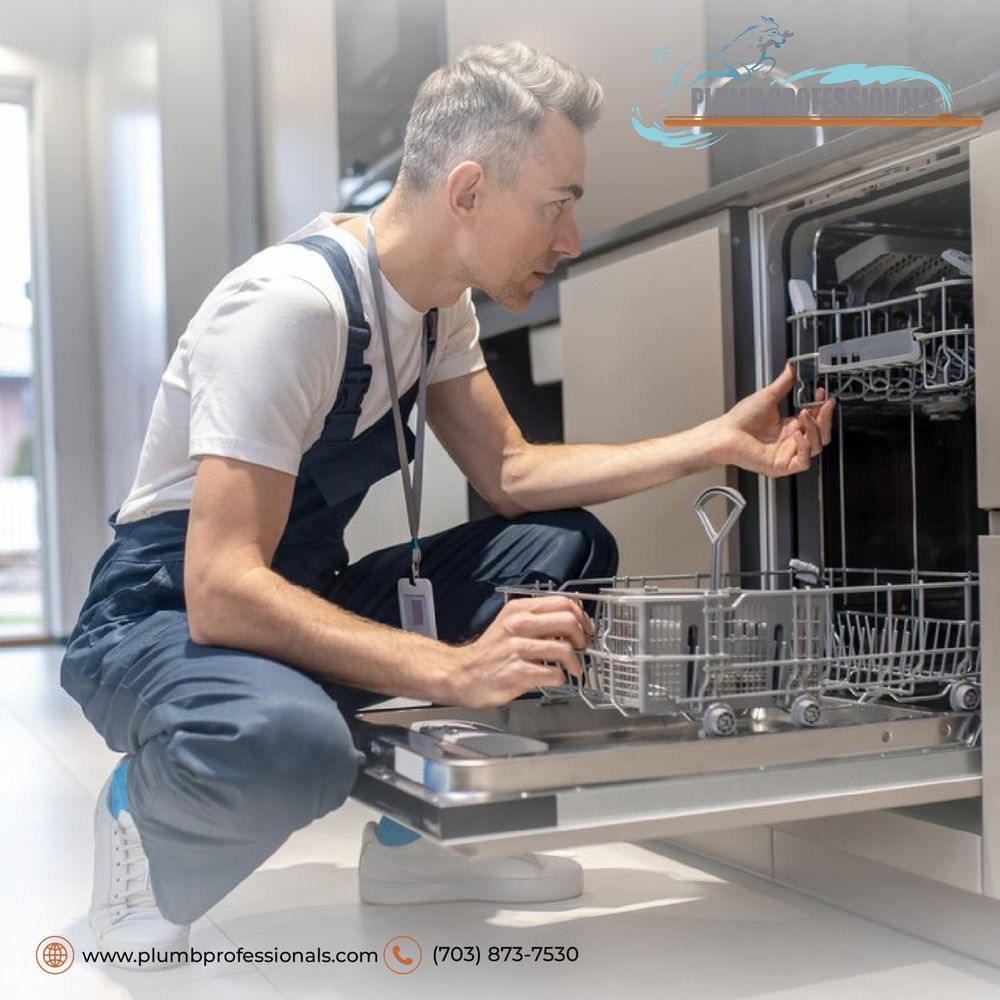 Slide of Plumb Professionals