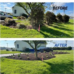 Lawn Care Specialist
