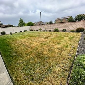 Sweet Home Landscaping - My yard was dying for lack of water. Now with my new sprinkler system. Sweet Home Landscaping saved the day. - Landscaping Near Me