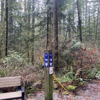 Watershed Park - Parks Near Me - Delta, British Columbia Watershed Park - Parks Near Me - Delta, British Columbia