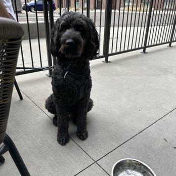 Little Brazil - Dog friendly patio - Brazilian Near Me - Wheat Ridge, Colorado Little Brazil - Dog friendly patio - Brazilian Near Me - Wheat Ridge, Colorado