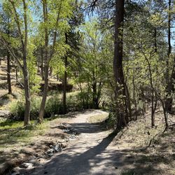 Alto Lake and Recreation Area