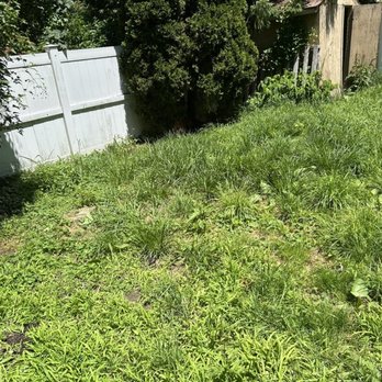 JP Outdoor Solutions - Before - Lawn Services Near Me - Sinclairville, New York JP Outdoor Solutions - Before - Lawn Services Near Me - Sinclairville, New York