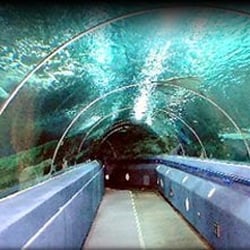 Blue Planet Aquarium