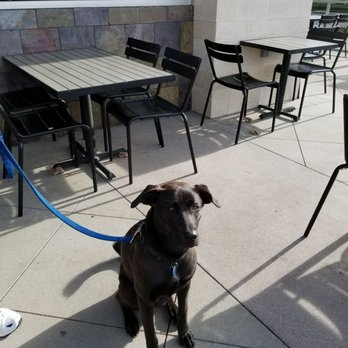 Luna Grill Ventura - Dog friendly patio - Mediterranean Near Me - Ventura, California