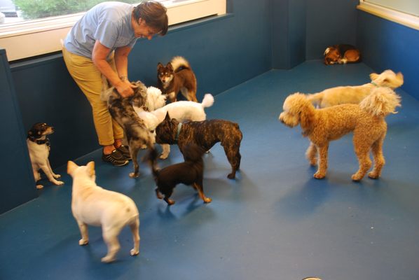 Biscuits & Bath - Riverside Blvd by null