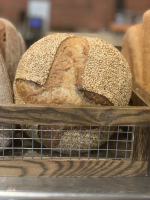 Maine Grain Alliance by null