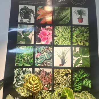 Plantology Café - Coffee & Tea Near Me - Oceanside, California