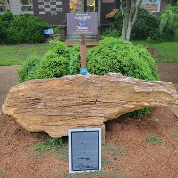 Mississippi Petrified Forest - Entrance. - Museums Near Me - Flora, Mississippi